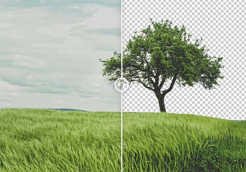 Học cách tách nền đơn giản trong Photoshop để tạo ra những bức ảnh độc đáo và hoàn hảo. Với các kỹ thuật mới nhất, tách nền bằng Photoshop đã dễ dàng hơn bao giờ hết. Khám phá và thực hành ngay, bạn sẽ phát hiện ra những điều thú vị mà Photoshop có thể mang lại cho việc chỉnh sửa ảnh.