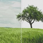 Một số cách tách nền trong Photoshop đơn giản