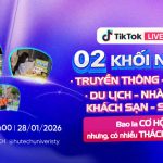 Giải Mã Sức Hút Khối Ngành Truyền Thông – Thiết Kế & Du Lịch – Nhà Hàng: Đâu là Lựa Chọn Cho Bạn?